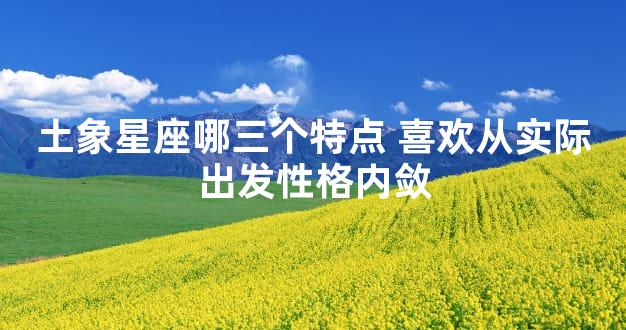 土象星座哪三个特点 喜欢从实际出发性格内敛